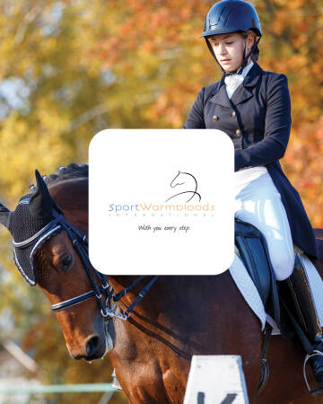 Sport Warmbloods Sport Warmbloods